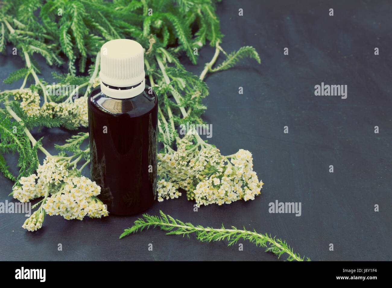 Teinture d'achillée millefeuille (Achillea millefolium) dans la bouteille close-up -look vintage Banque D'Images