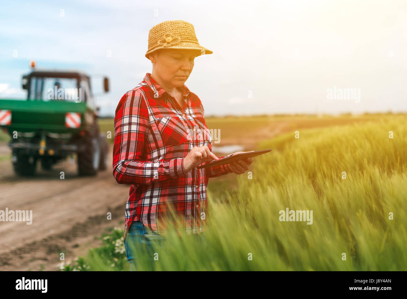 Responsable de l'agriculture intelligente, l'utilisation de la technologie moderne dans l'activité agricole, agricultrice agronome avec tablette numérique à l'aide de l'ordinateur mobile app dans Banque D'Images