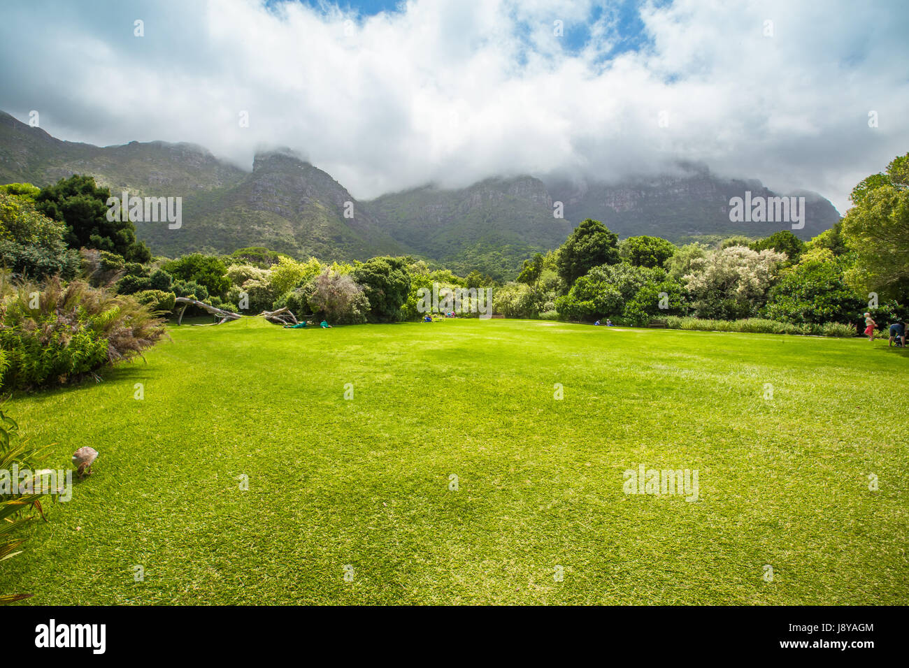 30 JANVIER 2014 : une visite dans le magnifique jardin botanique de Kirstenbosch - Cape Town Banque D'Images