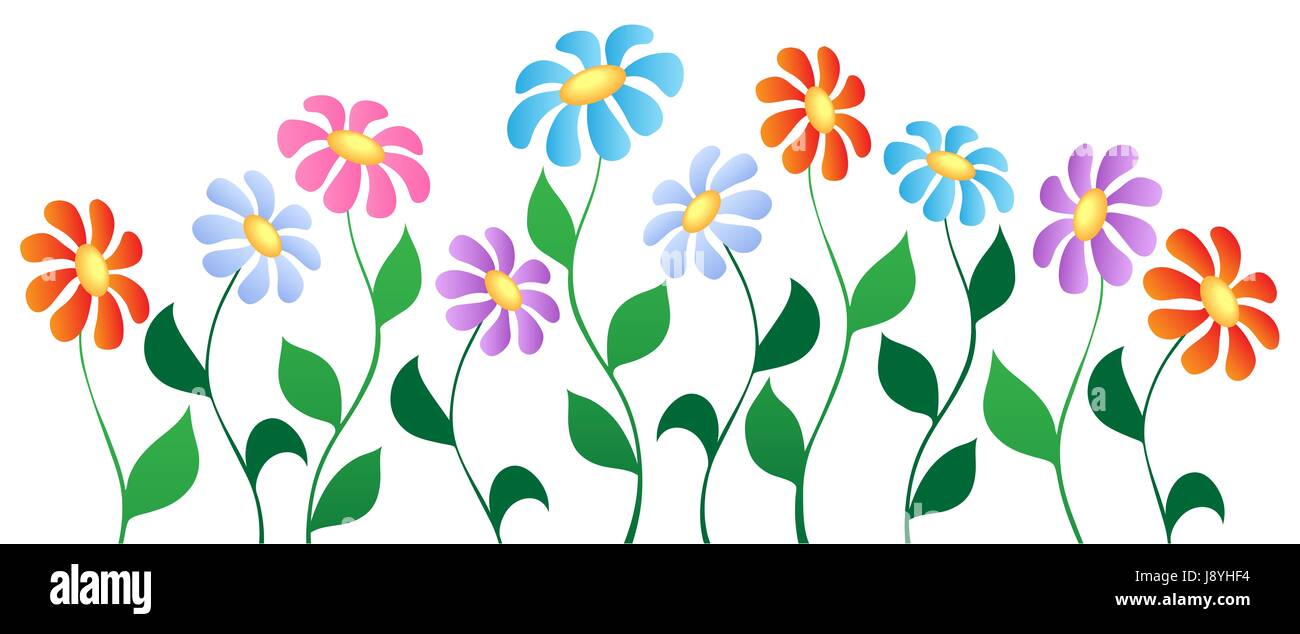 Feuille, fleur, plante, fleurs, fleurir, s'épanouir, en plein essor, fleurs, printemps, Banque D'Images