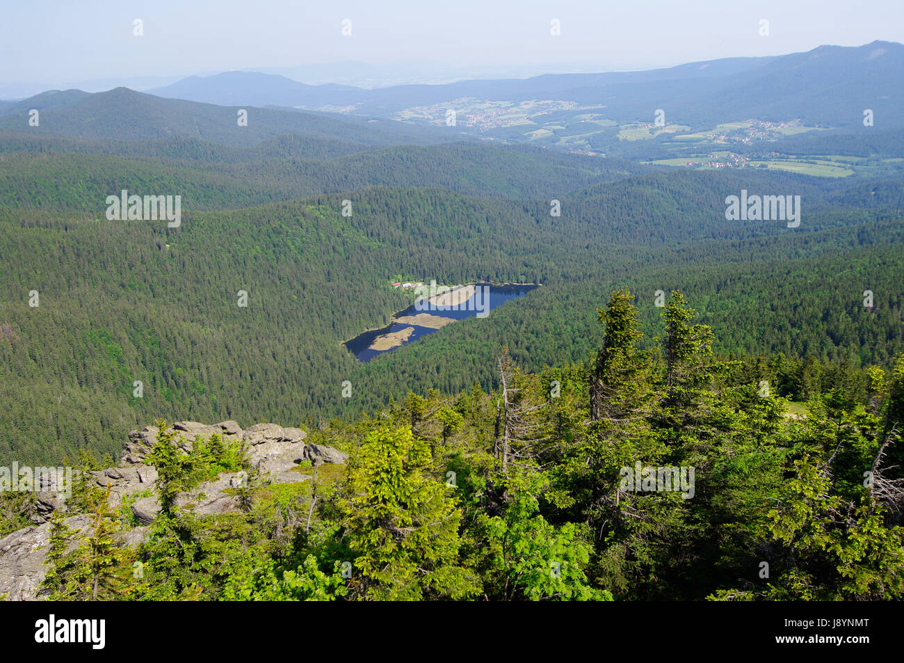 Scieries de haute-bavière - grand arber à petites arbersee Banque D'Images