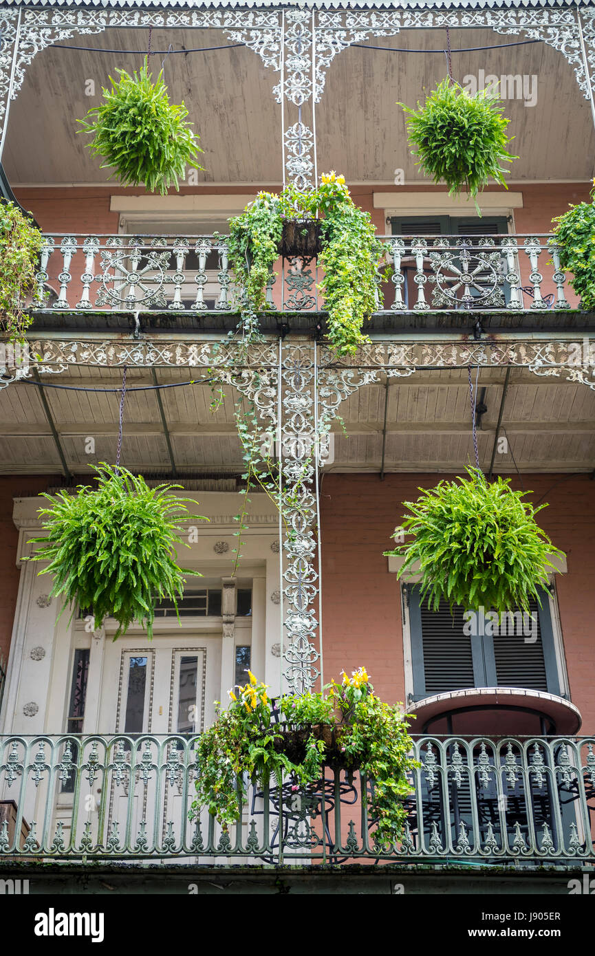 Un écrin de verdure décorant le fer forgé détaillant en filigrane d'un balcon typique d'un double-gallery building dans le quartier français de La Nouvelle-Orléans Banque D'Images