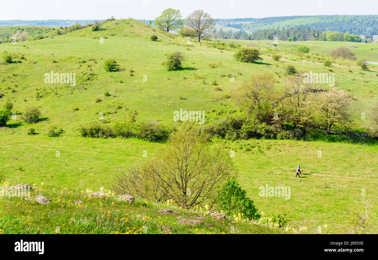 Brosarp, Suède - Mai 18, 2017 : Documentaire d'Brosarps hills nature zone. Des personnalités de la randonnée dans la vallée avec le paysage de collines tout autour. Banque D'Images Brosarp, Suède - Mai 18, 2017 : Documentaire d'Brosarps hills nature zone. Des personnalités de la randonnée dans la vallée avec le paysage de collines tout autour. Banque D'Images