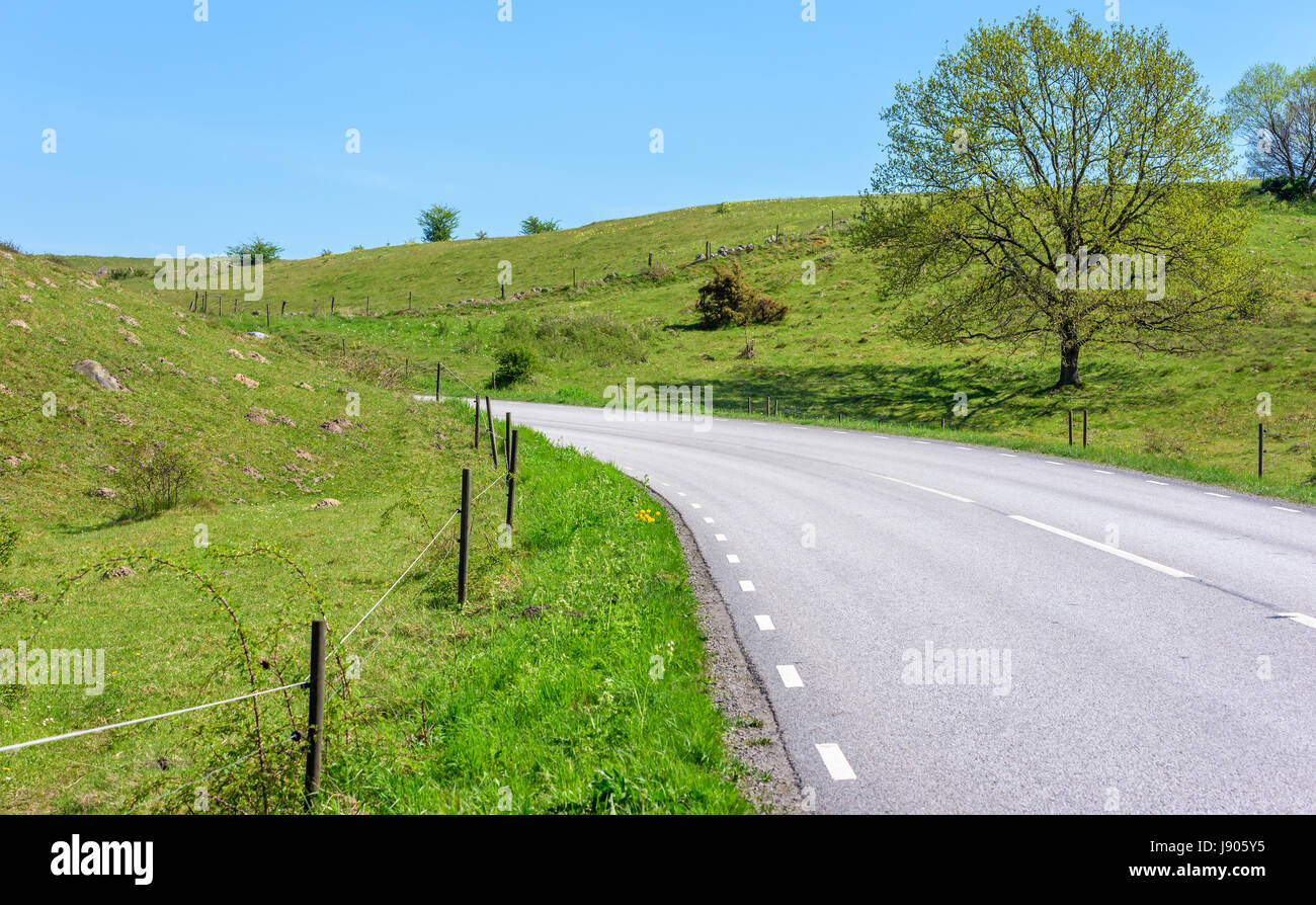 Route de campagne étroite massifs à travers la vallée à côté d'un chêne. Lieu Brosarp dans Scania, la Suède. Banque D'Images