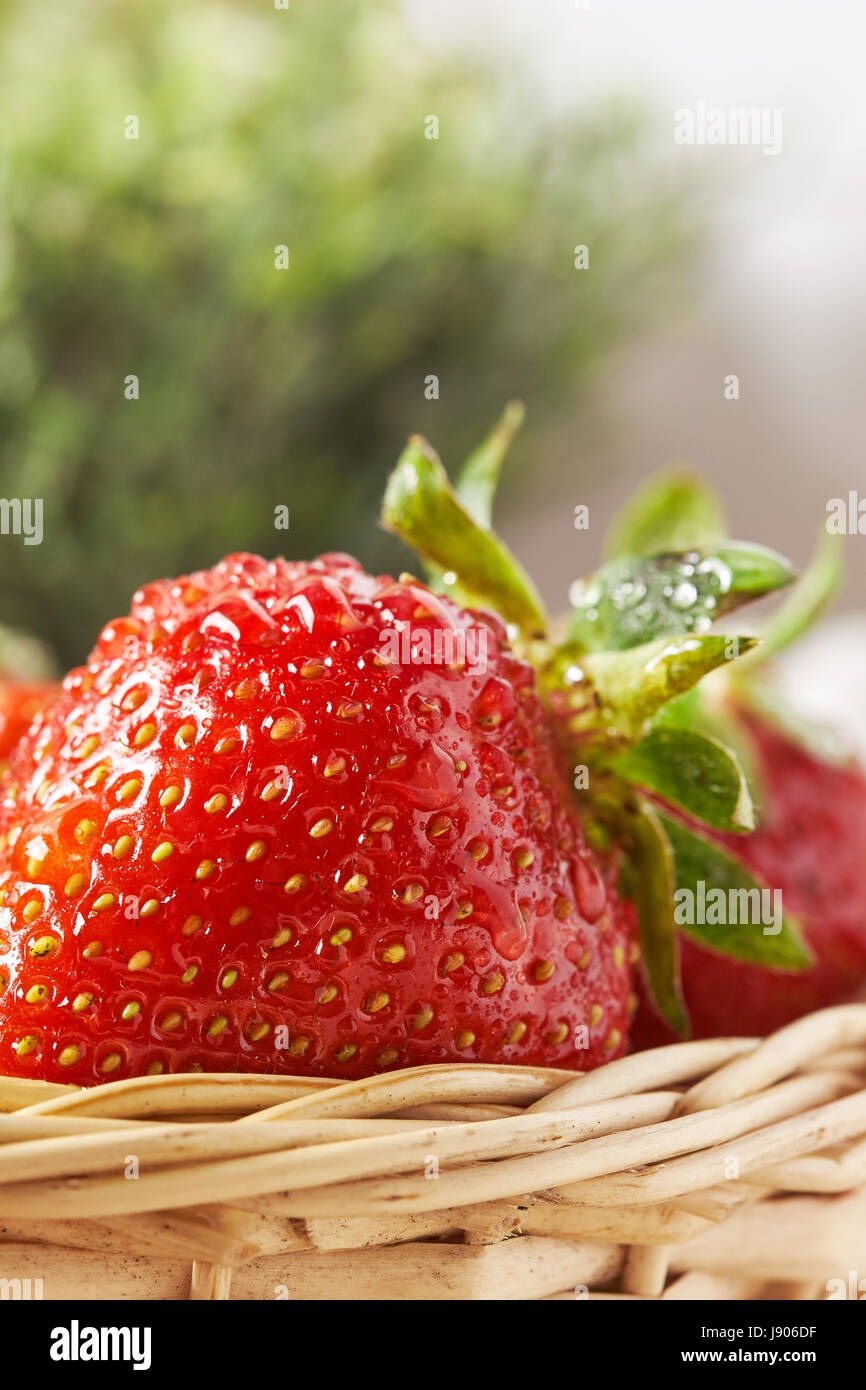 Les produits frais biologiques et de fraise mûre dans panier tressé. Copy space Banque D'Images