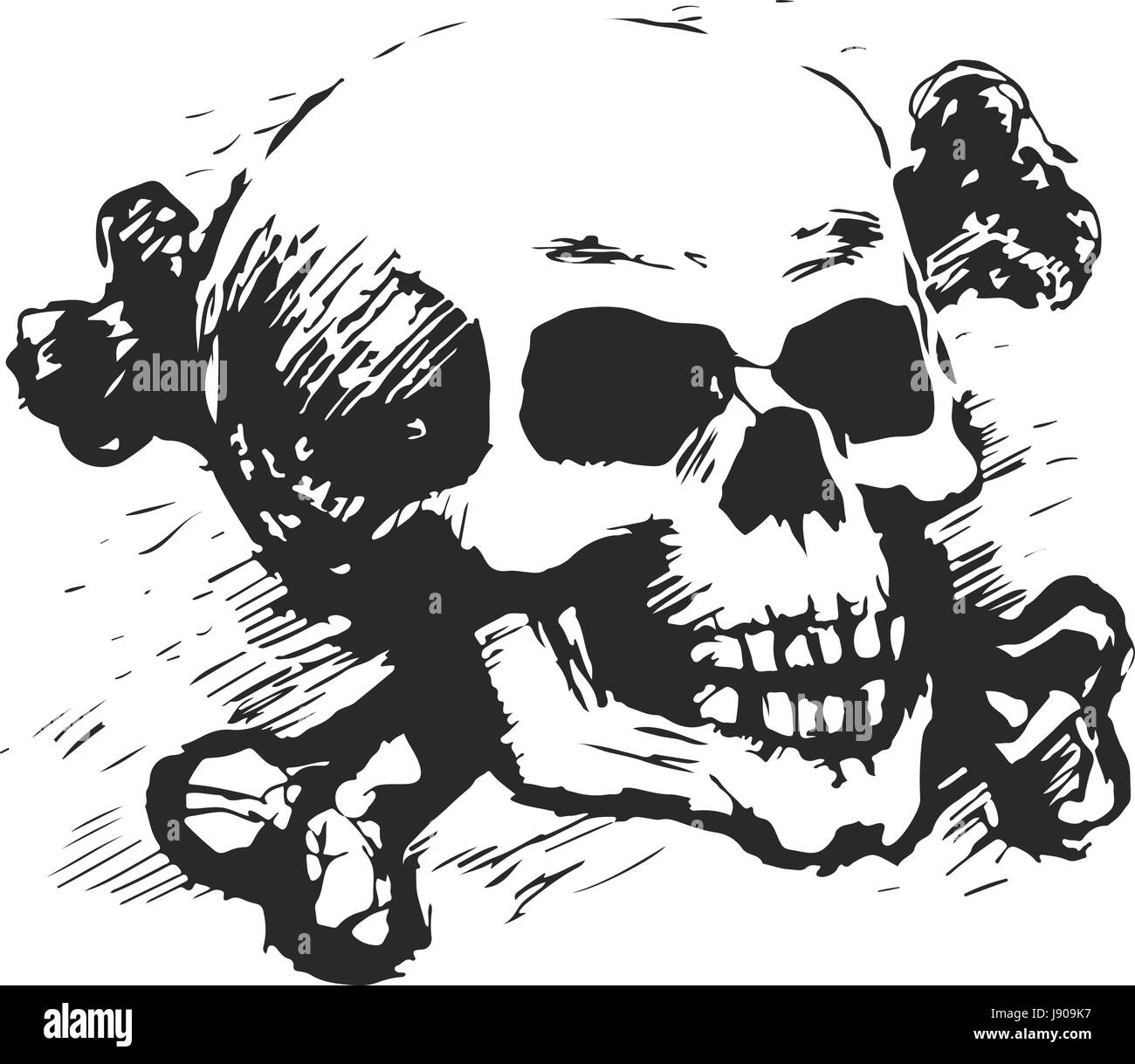 La tête de mort Image Vectorielle Stock Alamy