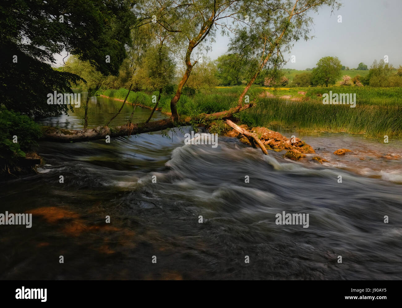 La rivière Boyne, dans le comté de Meath, Irlande Banque D'Images