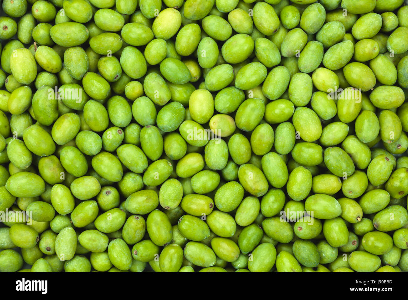 Olive vert frais récoltés pour la production d'huile d'olive texture pattern. Les fruits de l'huile d'olive. La toscane, italie. Banque D'Images