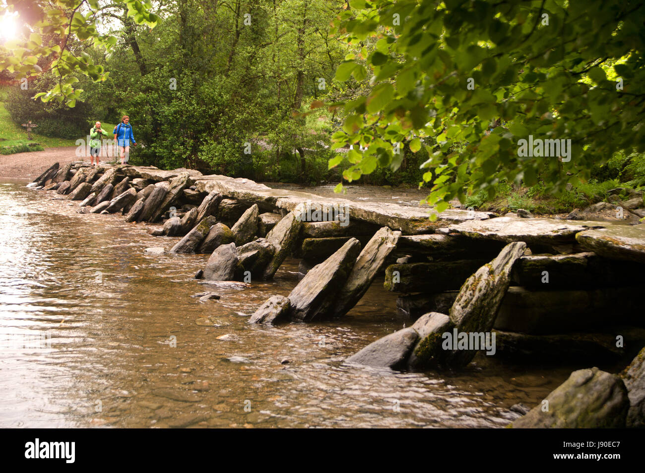 Les étapes Tarr, clapper pont traversant la rivière Barle dans le Parc National d'Exmoor, Somerset, Angleterre Banque D'Images