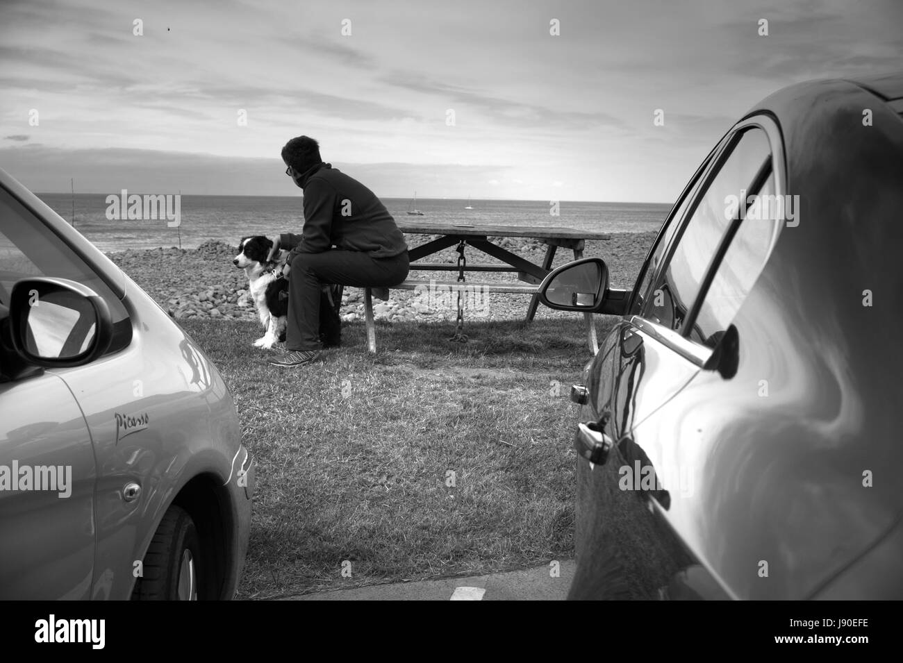Femme et de berger, Porlock Weir, Somerset, Angleterre Banque D'Images