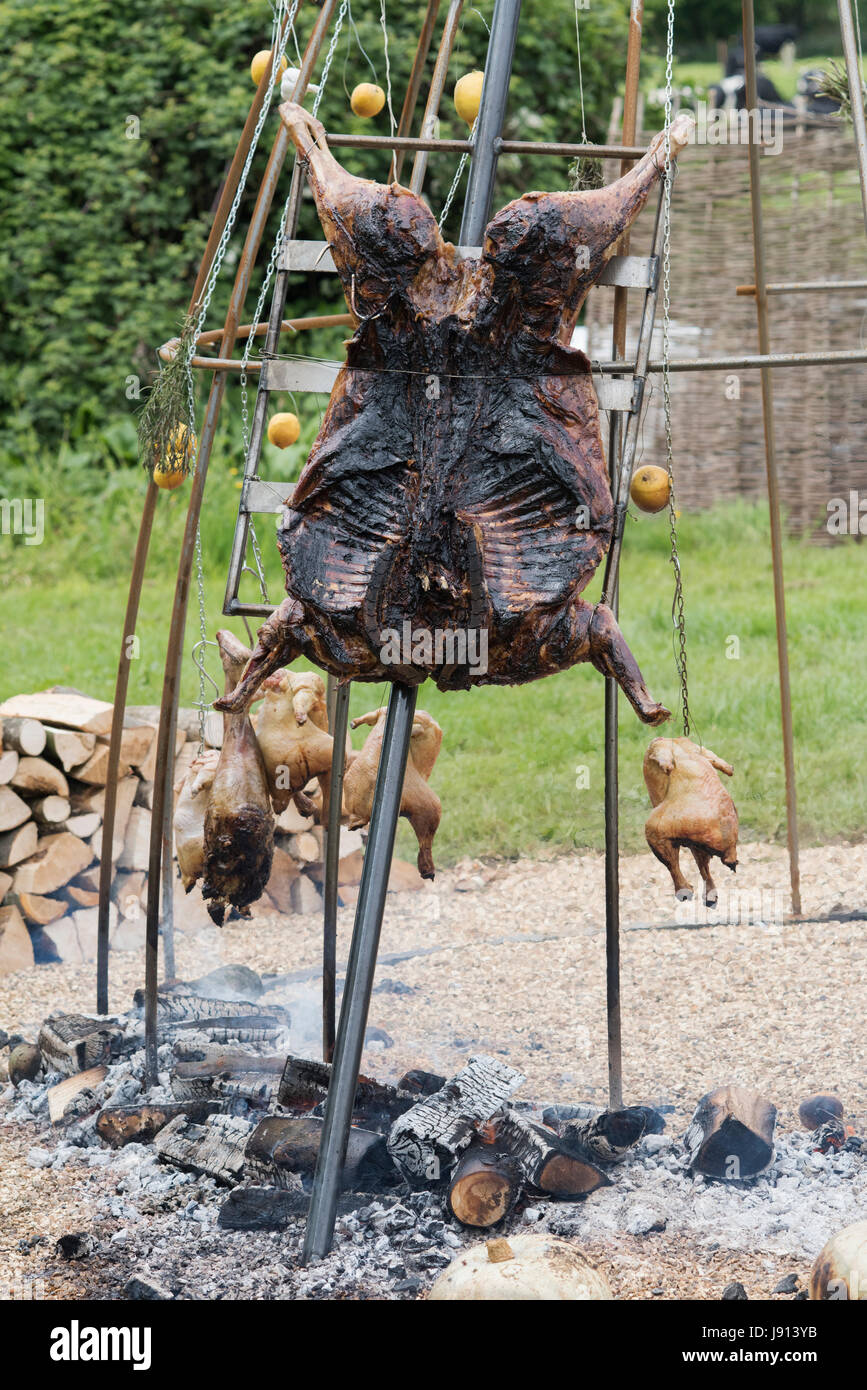 Le feu, à l'Argentine et l'agneau la cuisson des poulets à Daylesford Organic Farm festival d'été. Daylesford, Cotswolds, Gloucestershire, Angleterre Banque D'Images