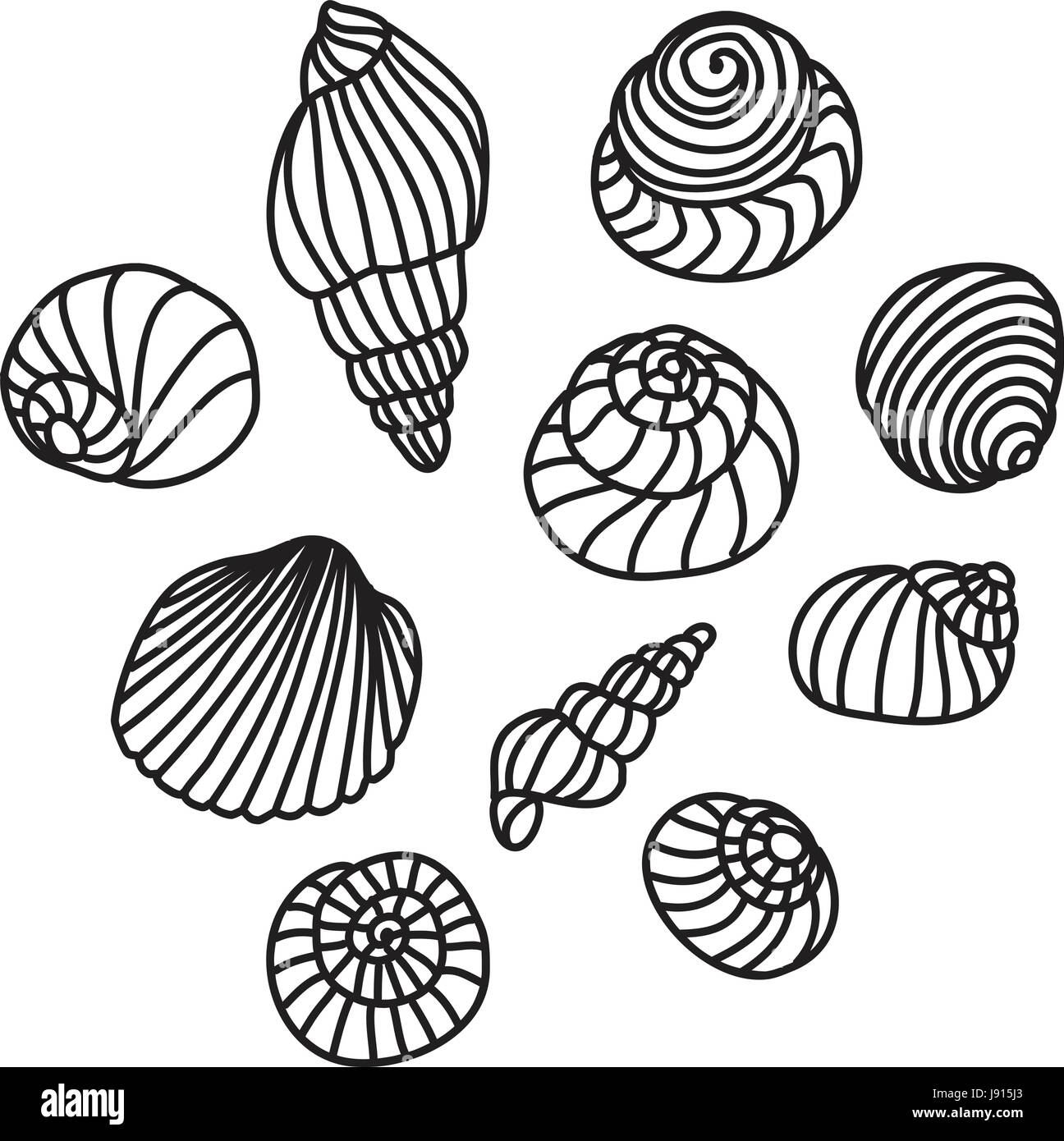 Sea Shell ligne vectorielle illustration dessin Illustration de Vecteur