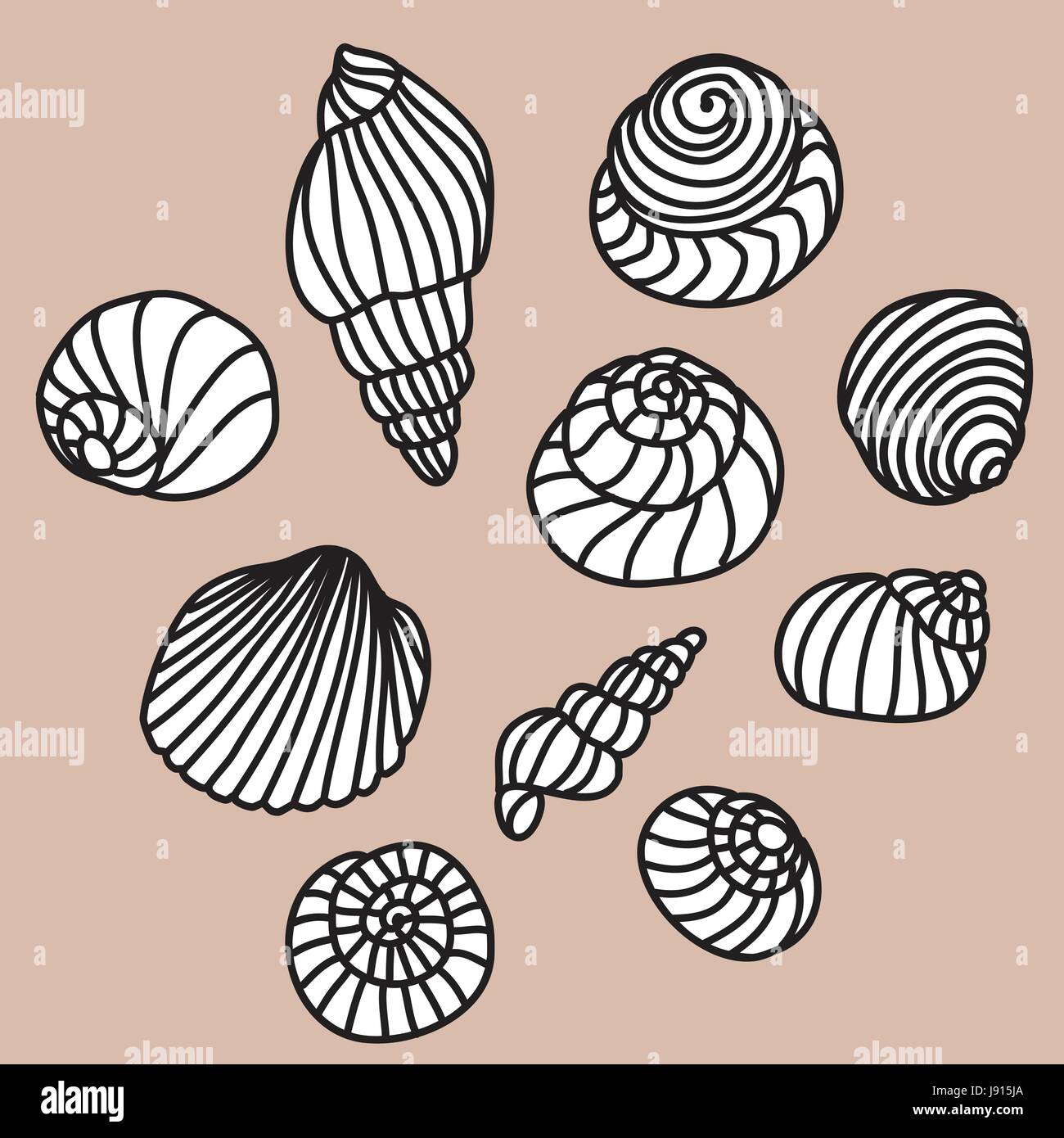 Sea Shell ligne vectorielle illustration dessin Illustration de Vecteur