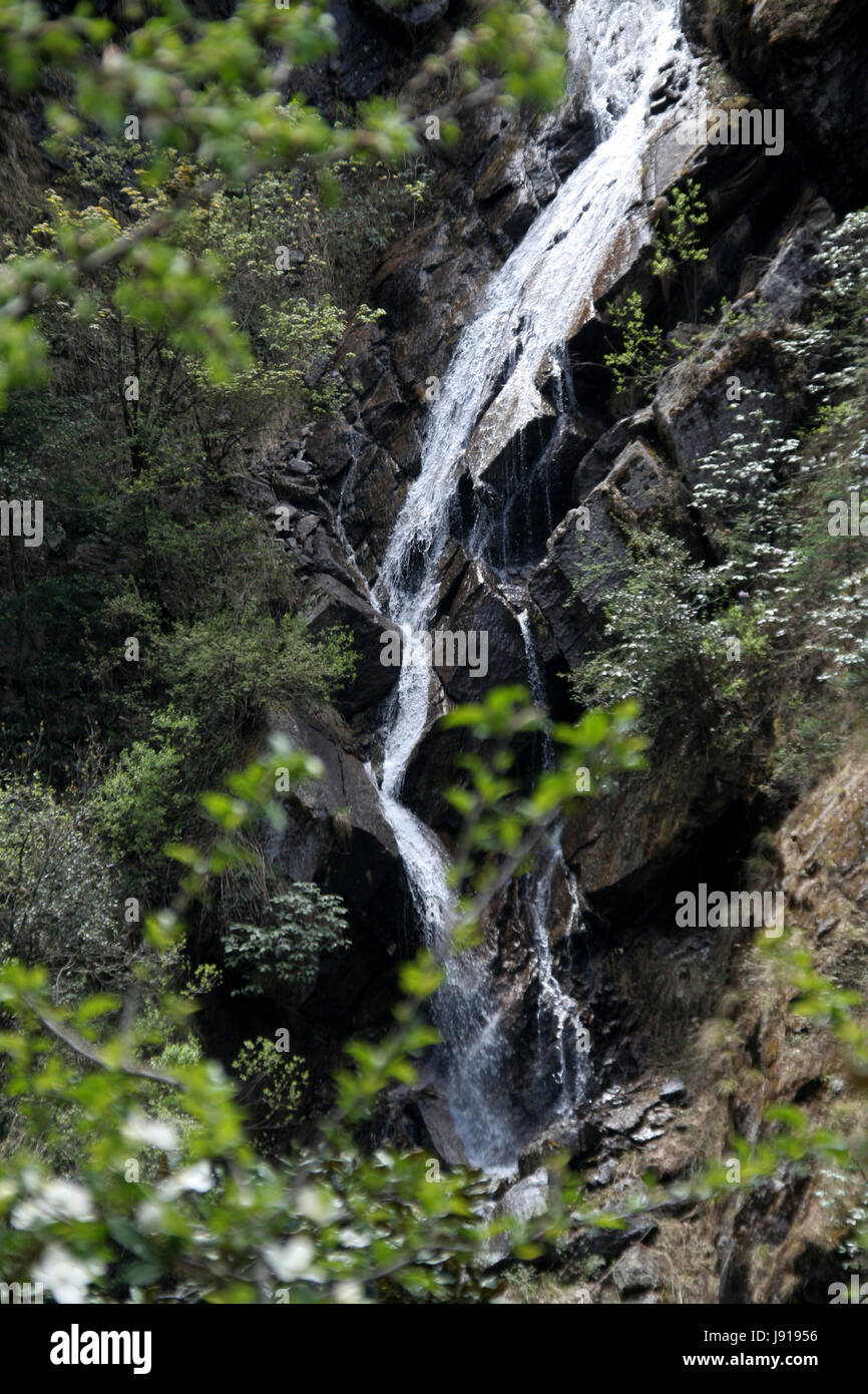 Débit, pierre, visage, rock, jungle, drop, woods, plonger, vertical, surface, surf, Banque D'Images