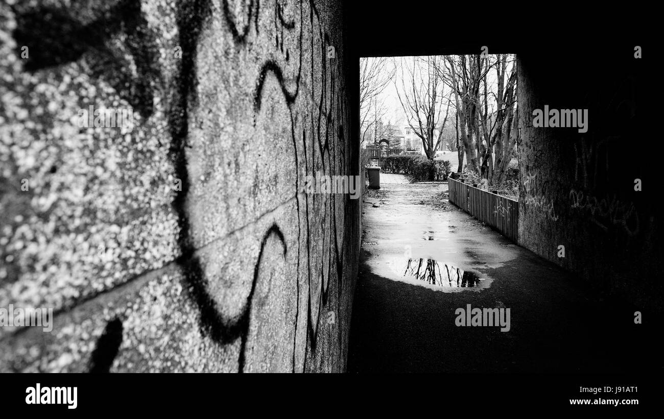 Fleur de Gerbera Banque D'Images