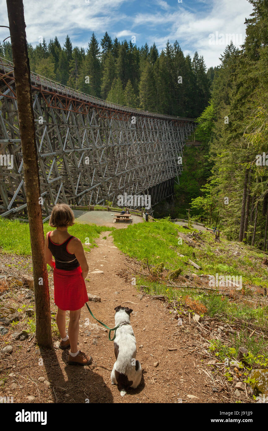 Rosemary Brian et Maureen sur le célèbre chemin de fer Trestle-Shawnigan Kinsol Lake, British Columbia, Canada. Banque D'Images