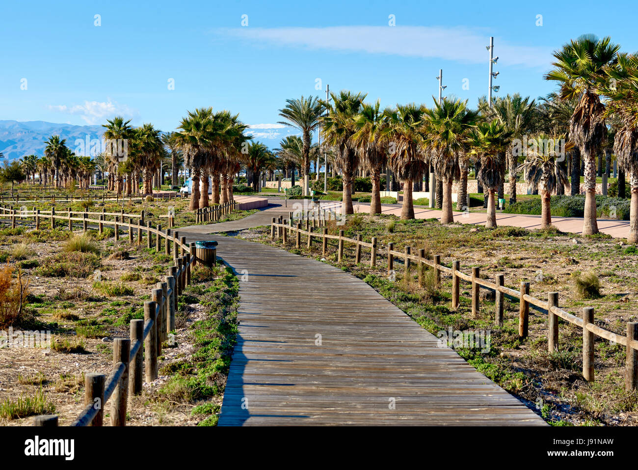 Passerelle piétonne bordée de palmiers dans un parc de Retamar. Province d'Almeria. Espagne Banque D'Images