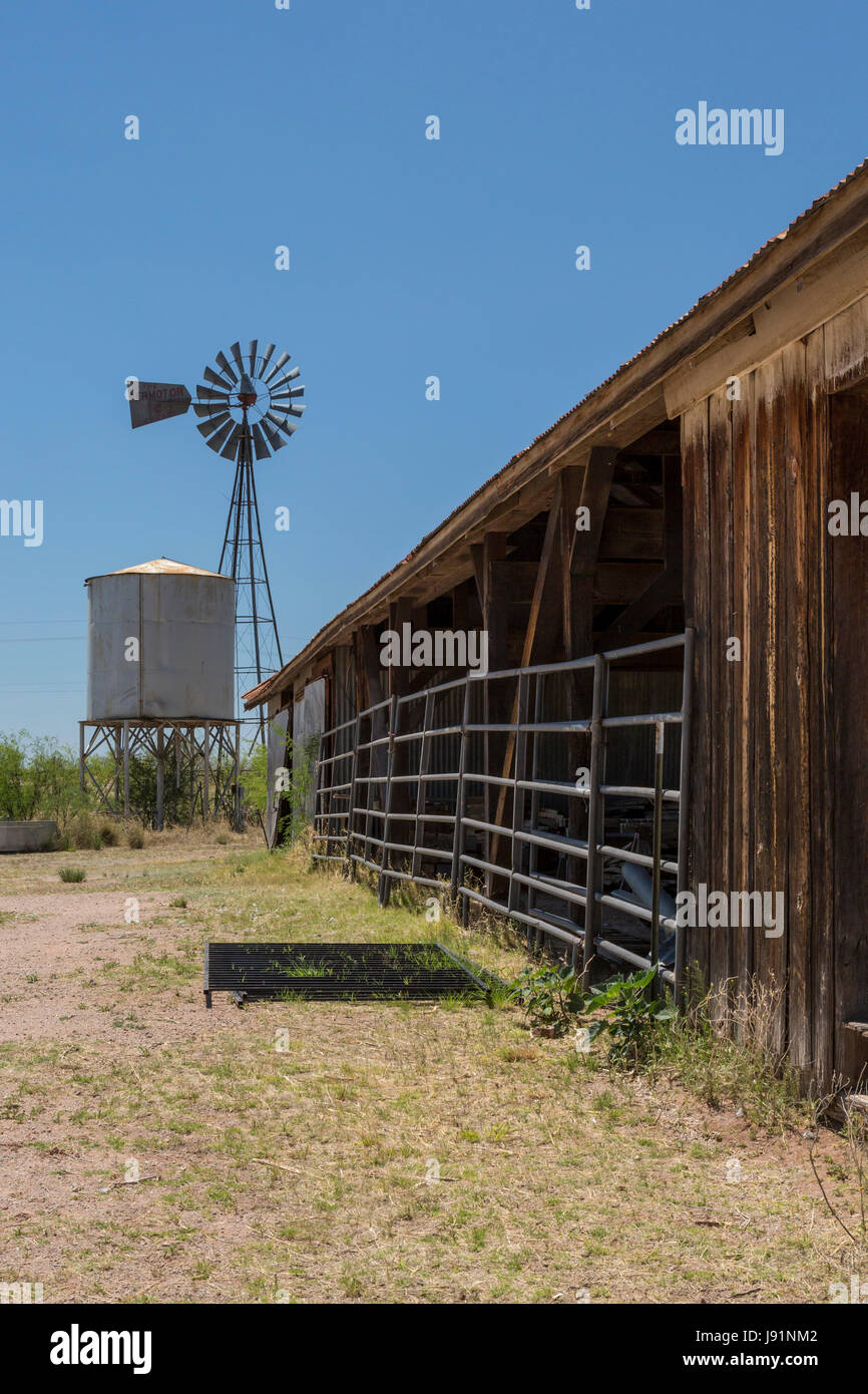 Sonoita, Arizona - l'Empire Ranch historique, une fois que l'un des plus grands élevages de bétail en Amérique. Le ranch est administré par le Bureau of Land Management Banque D'Images