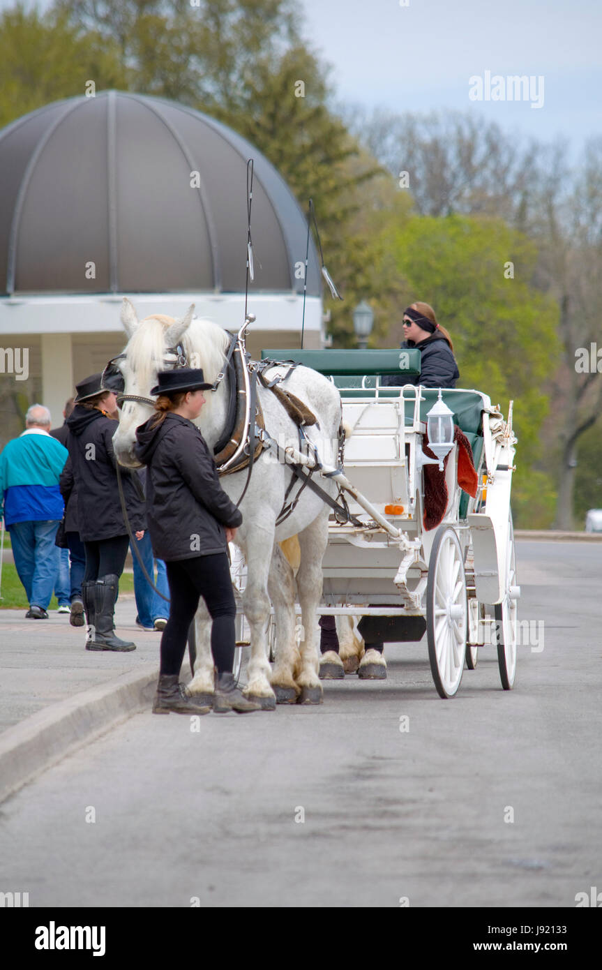 La floraison des tulipes et des jonquilles annuel à Niagara Falls, Ontario, Canada Banque D'Images