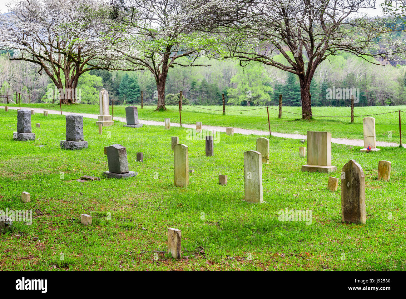 Un vieux cimetière dans la section de Cades Cove le Great Smoky Mountains National Park Banque D'Images
