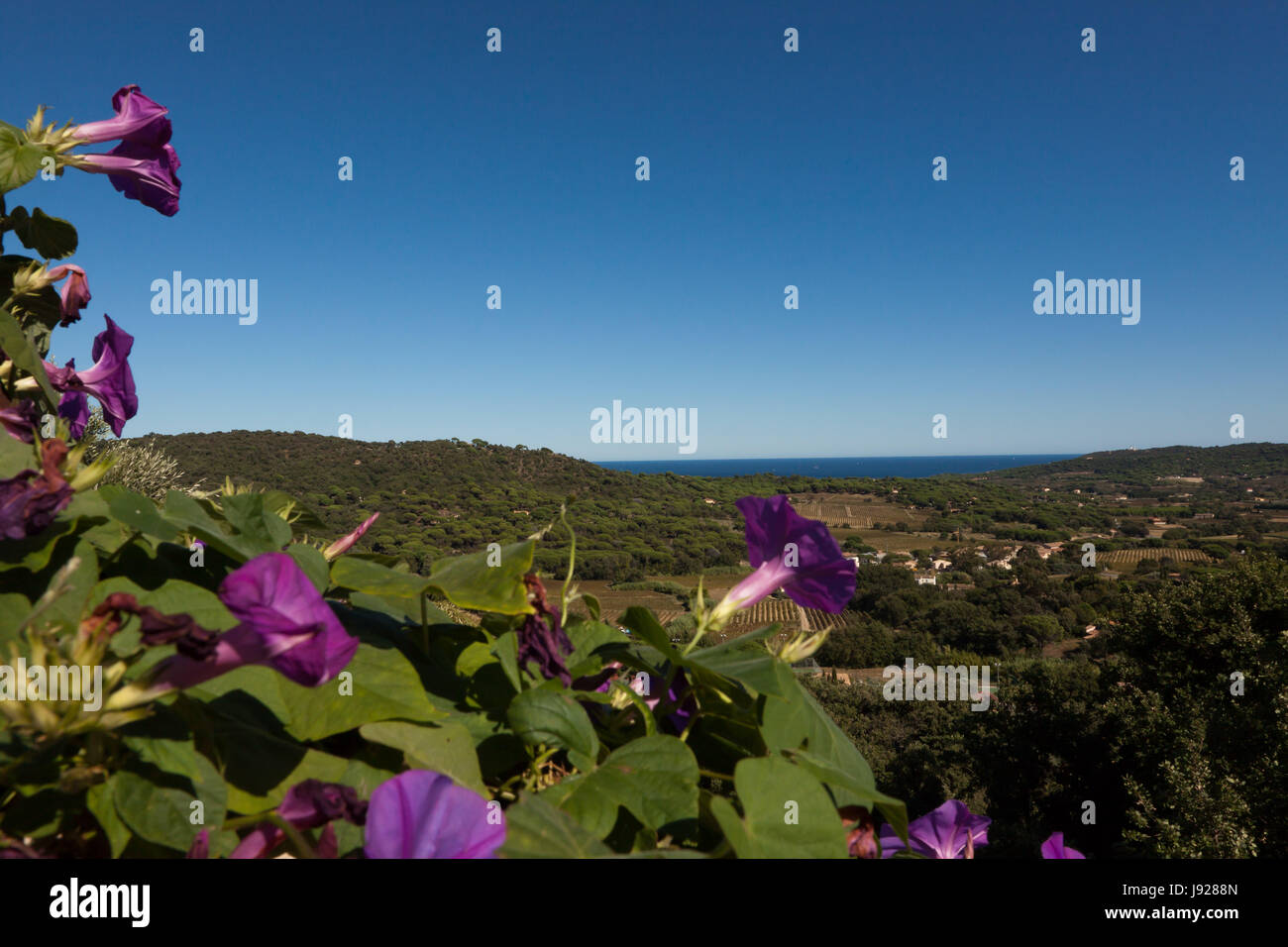 Vue depuis une colline en provence Banque D'Images