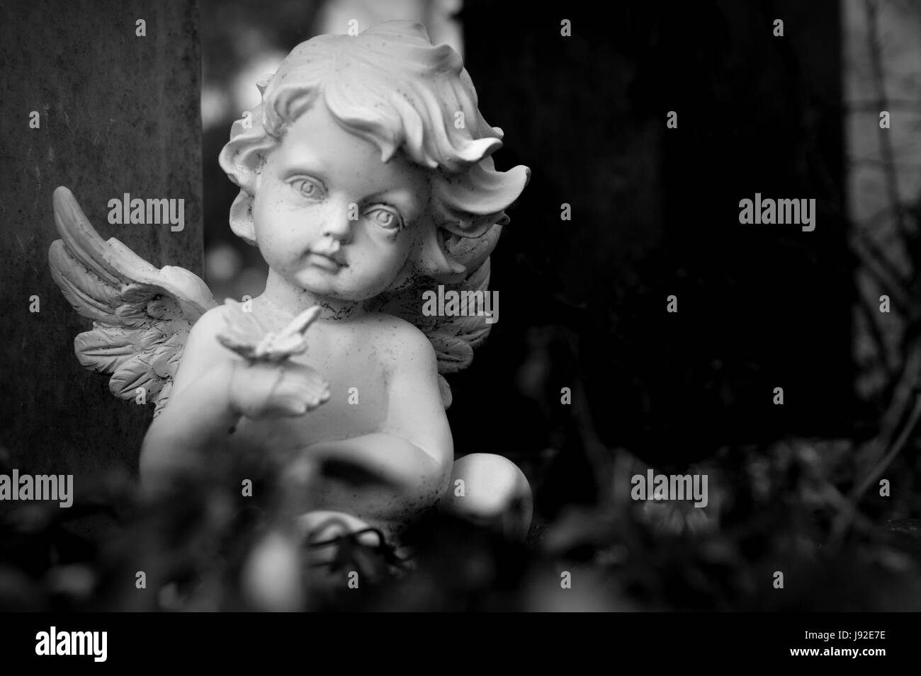 La Mort Aile Cimetiere Deuil Tristesse Ange Anges L Apparence Les Jeunes Photo Stock Alamy