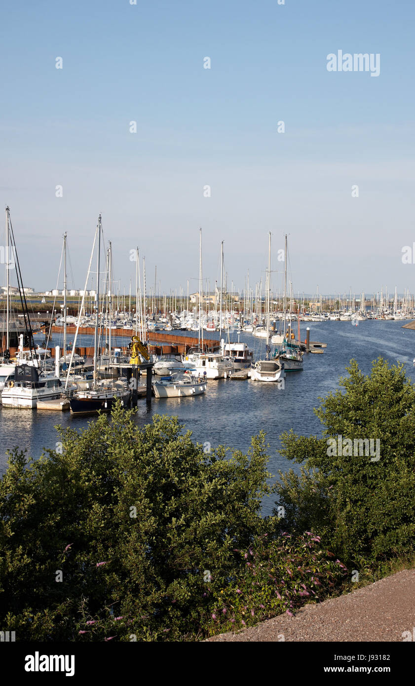 Transports, mâts, Pays de Galles, de l'eau, horizon, fleur, fleurs, plantes, haie, Banque D'Images