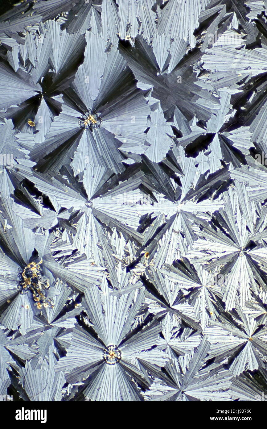 Image du microscope de paracétamol cristalisée. Le paracétamol, aussi connu comme l'acétaminophène ou de l'APAP est un médicament utilisé pour traiter la douleur et la fièvre. Banque D'Images