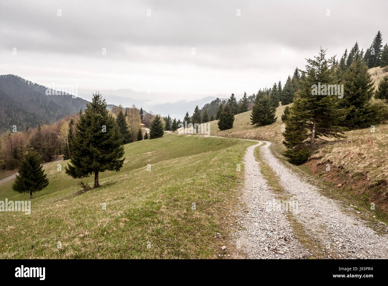 Mountain prairie avec des arbres isolés et sale route près de col de prislop sedlo dans Velka Fatra montagnes en Slovaquie Banque D'Images