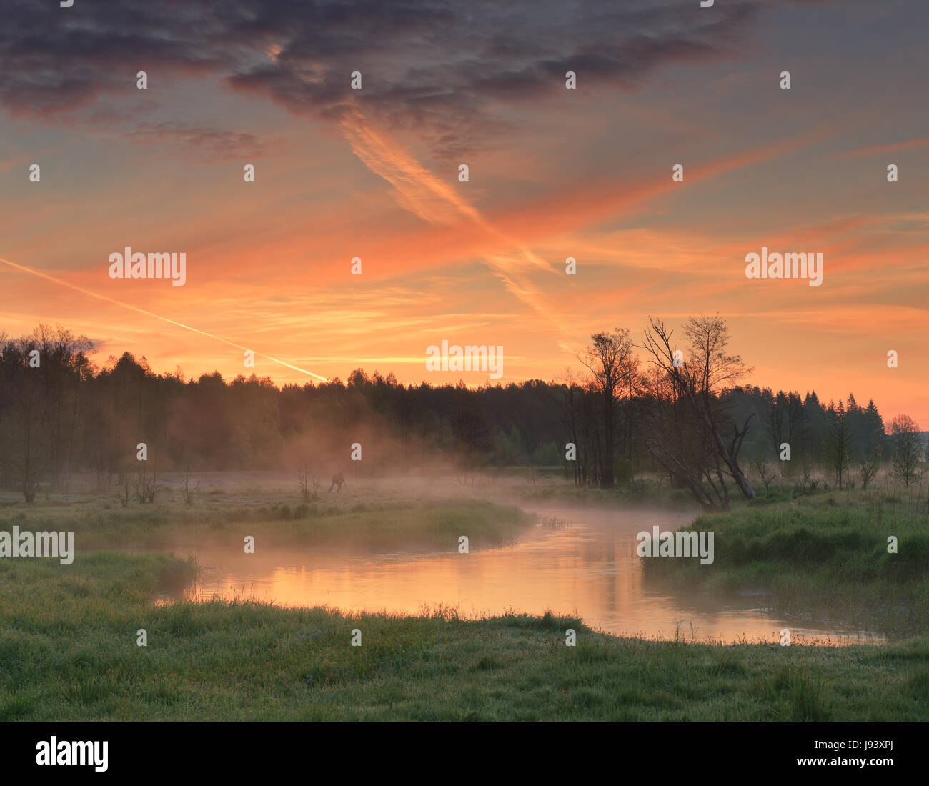 Ciel du matin coloré sur petite rivière. Paysage matin saturés. Nature été arrière-plan. Banque D'Images