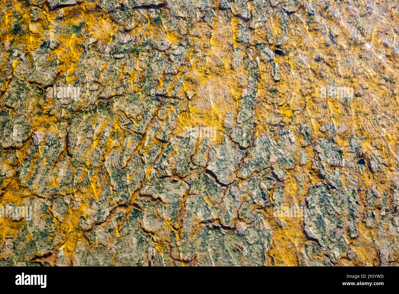 Surface d'évaporation vide salt pond Banque D'Images