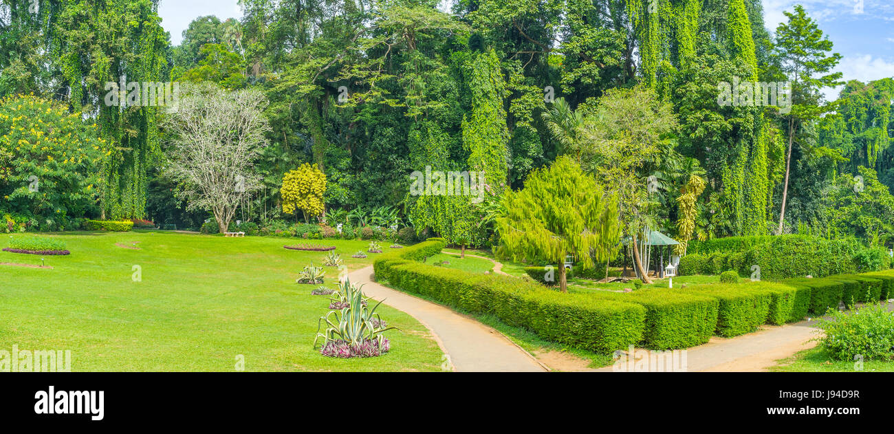 Tous les types de végétation de l'île sont présentés dans différents districts de Jardin botanique royal à Kandy, Sri Lanka Banque D'Images