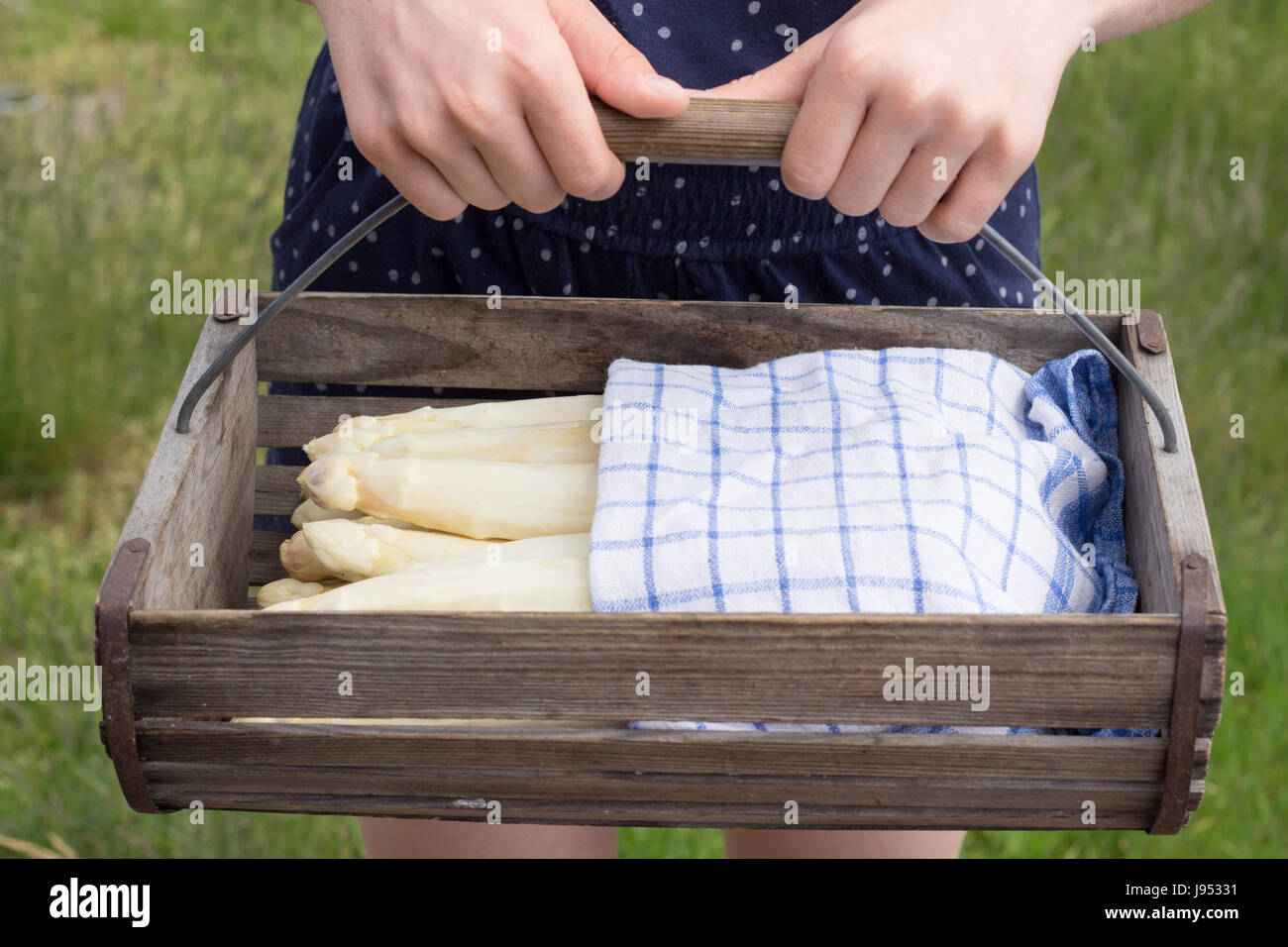 Girl holding un panier avec des asperges blanches Banque D'Images