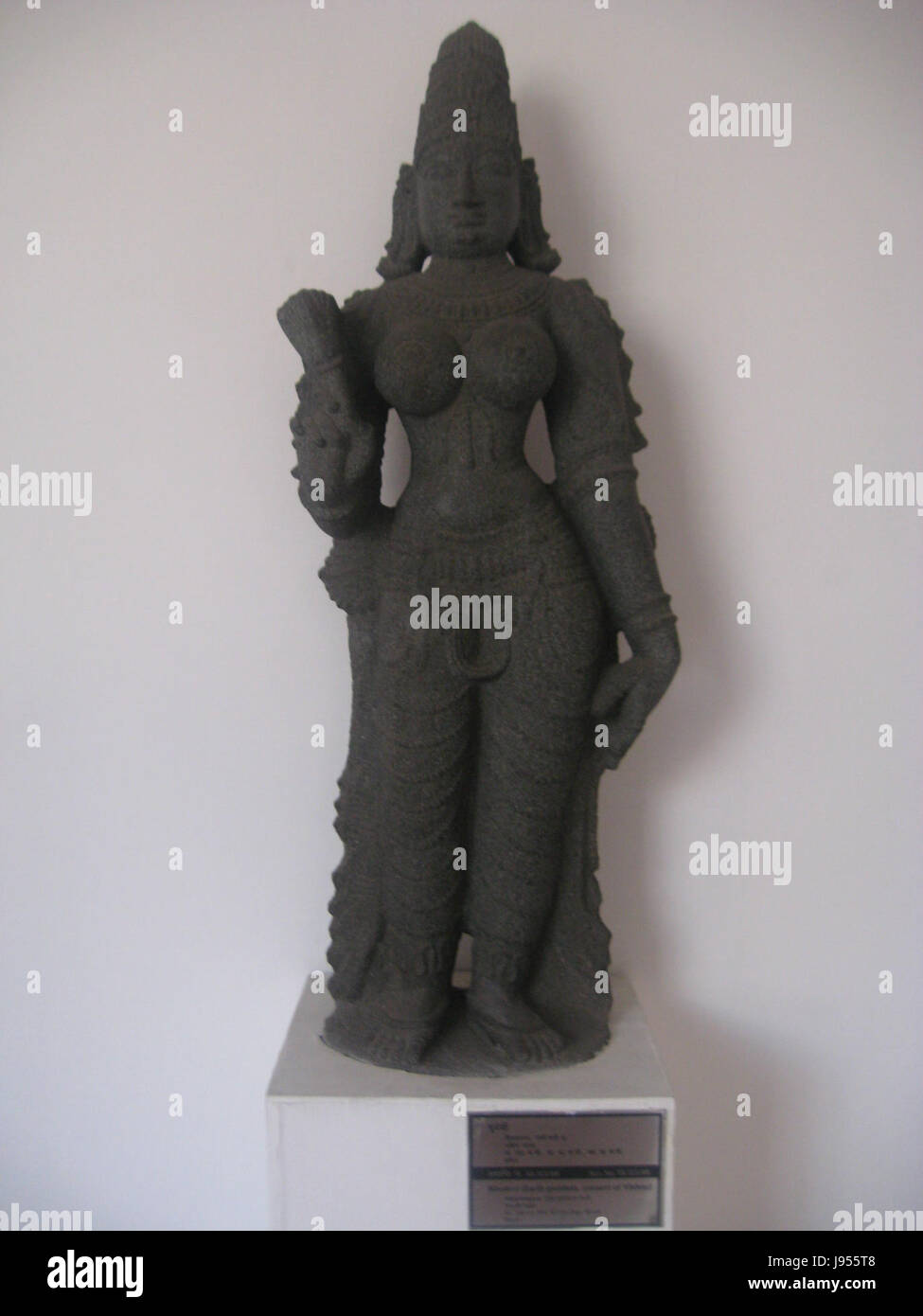 Le Musée national de New Delhi, en Inde, abrite une vaste collection d'art, d'artefacts et d'objets historiques couvrant diverses périodes de l'histoire et de la culture indiennes. Banque D'Images