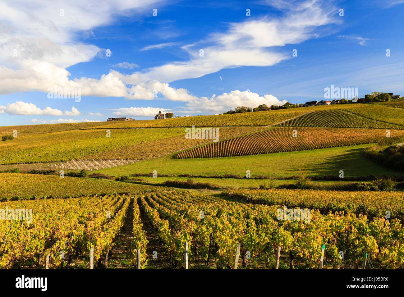 La France, l'Yonne, Prehy, dans les vignes en automne, l'église Notre-Dame Banque D'Images La France, l'Yonne, Prehy, dans les vignes en automne, l'église Notre-Dame Banque D'Images