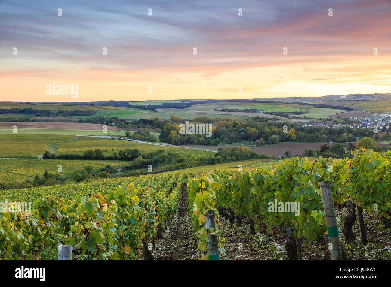 La France, l'Yonne, Chablis, vue sur la ville depuis la colline de soirée Grands Crus en automne Banque D'Images La France, l'Yonne, Chablis, vue sur la ville depuis la colline de soirée Grands Crus en automne Banque D'Images