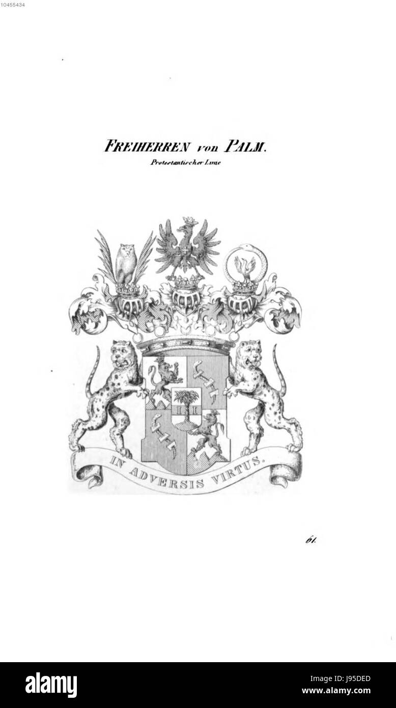 Une représentation de Palm 5 Tyroff AT, se référant probablement à un type spécifique de palmier ou à une étude botanique. L'image présente une représentation détaillée de la plante, en mettant l'accent sur ses caractéristiques et sa classification scientifique. Banque D'Images