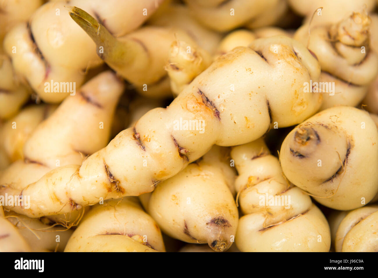 Borough Market Londres chic élégant légumes racines alimentaires de racine comestible tubercule tubercules Tropaeolum tuberosum mashua Banque D'Images