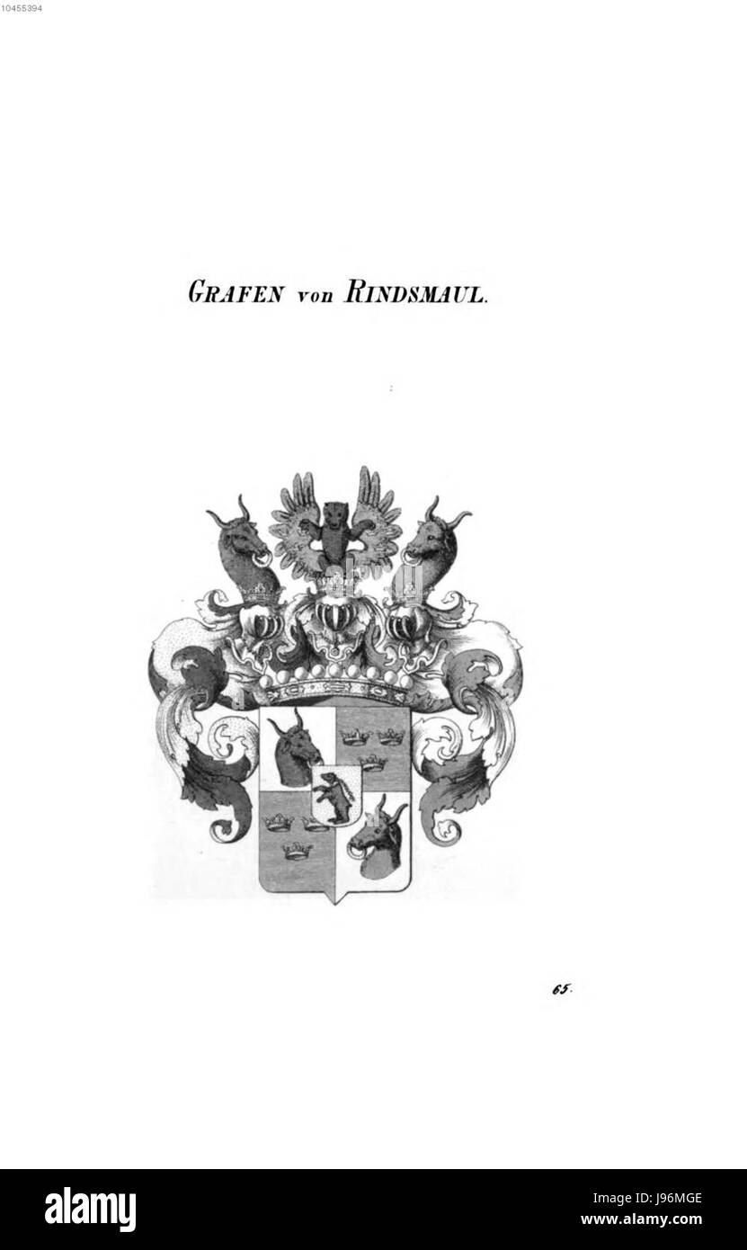 Illustration ou image scientifique représentant la structure d'un rindsmaul, probablement à partir d'une étude historique ou anatomique. Banque D'Images