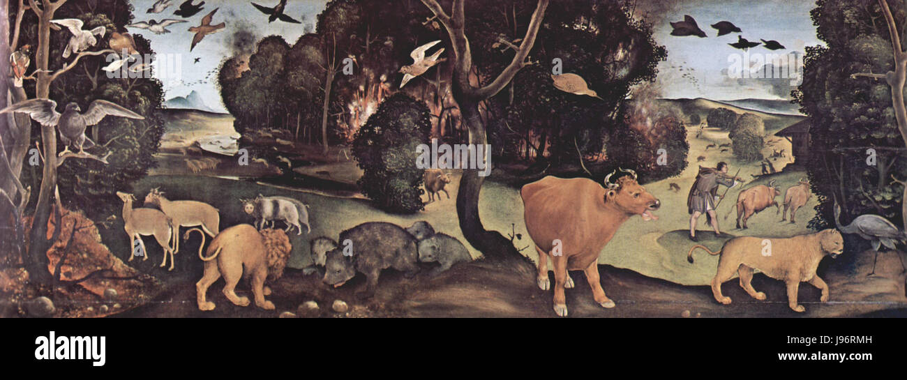 Piero di Cosimo était un peintre italien de la Renaissance connu pour son style distinctif et ses contributions au développement de la Renaissance Cette référence met probablement en évidence une de ses œuvres notables ou techniques artistiques. Banque D'Images
