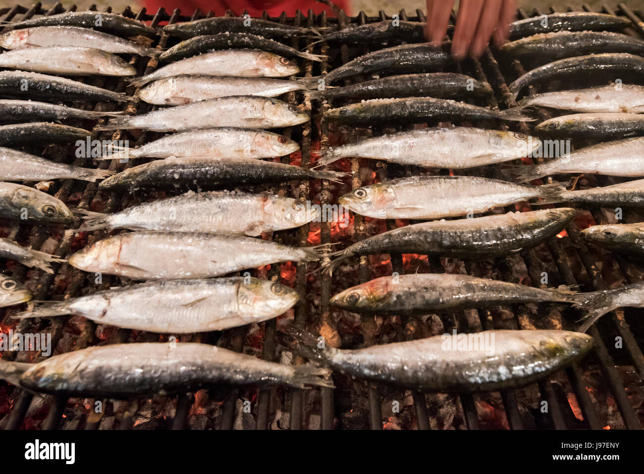 Sardines grillées à la populaire fête de Santo Antonio à Alfama. Lisbonne, Portugal Banque D'Images