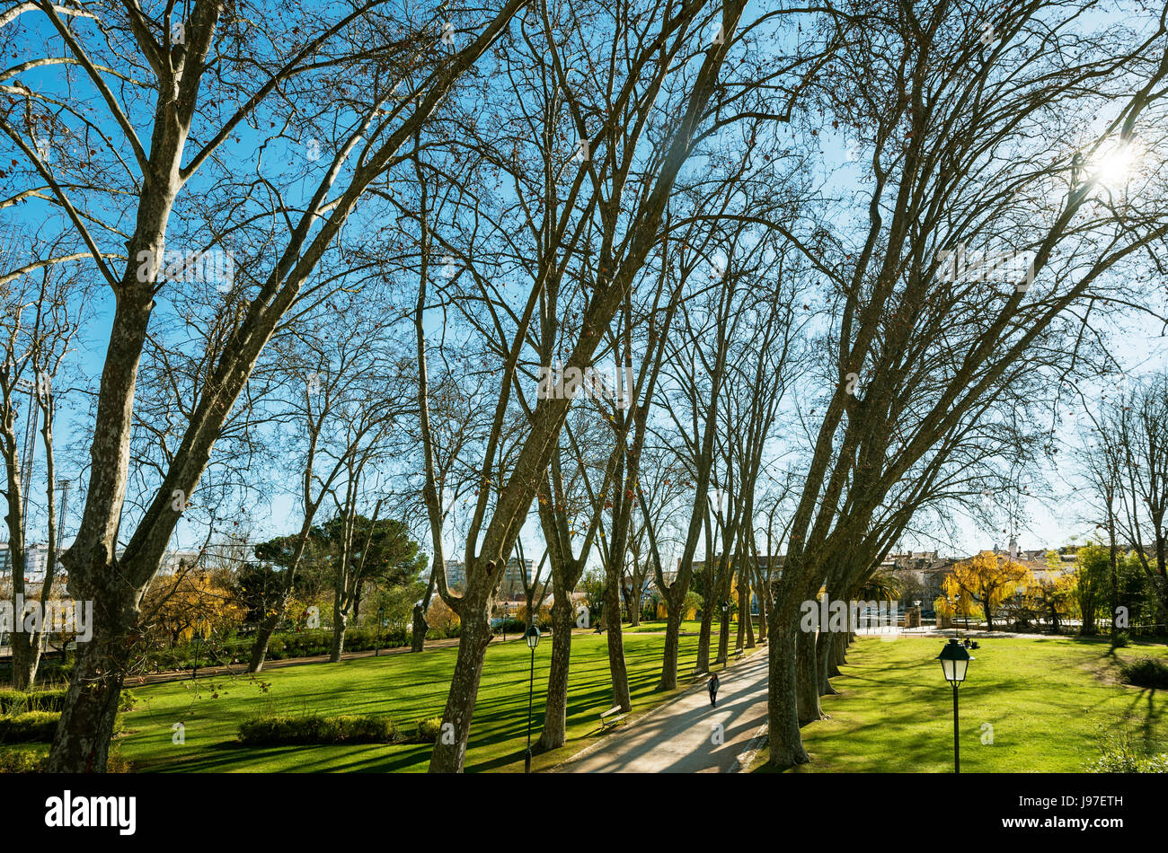 Mouchao parc en hiver. Une oasis de tranquillité en plein centre de la ville historique de Tomar. Portugal Banque D'Images