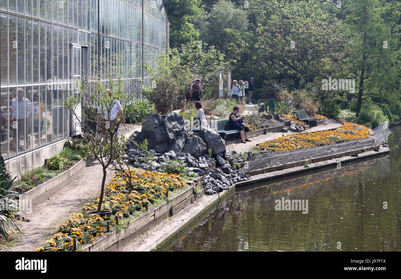 Serre de jardin botanique Hortus Botanicus dans le quartier chic d'Amsterdam, aux Pays-Bas. L'une des plus anciennes dans le monde. Banque D'Images