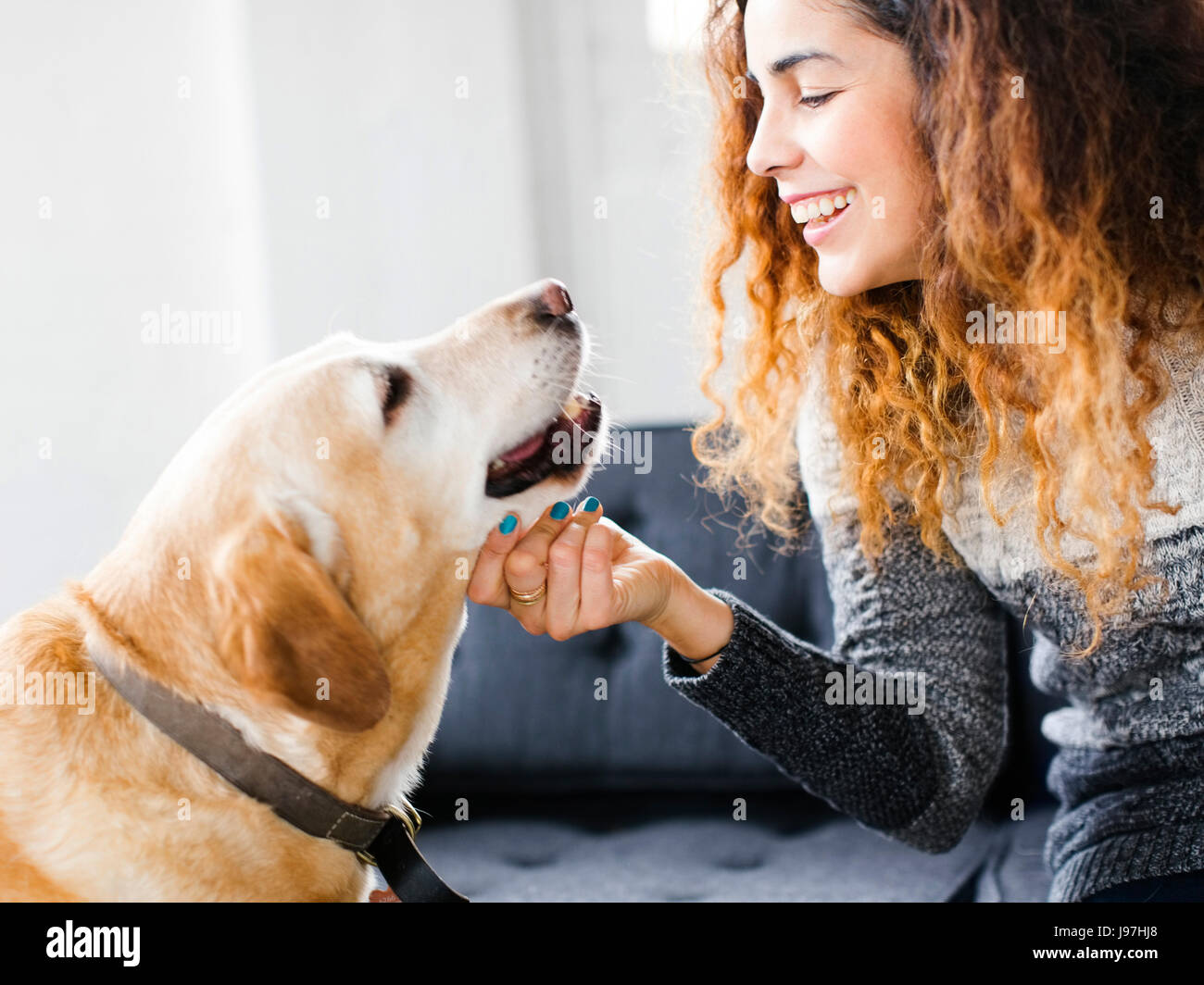 Smiling woman stroking dog in living room Banque D'Images