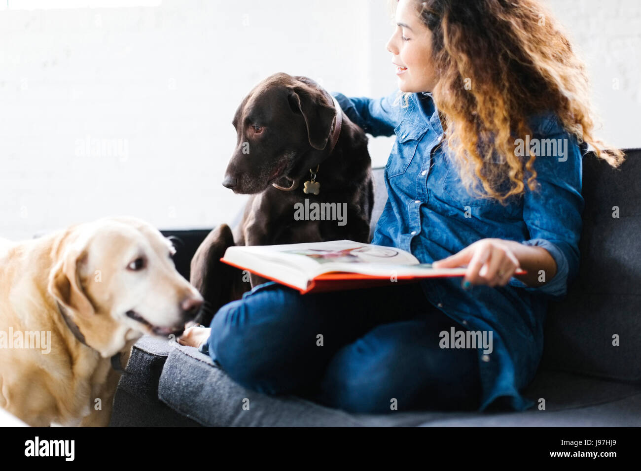 Femme assise avec les chiens dans la salle de séjour et reading book Banque D'Images
