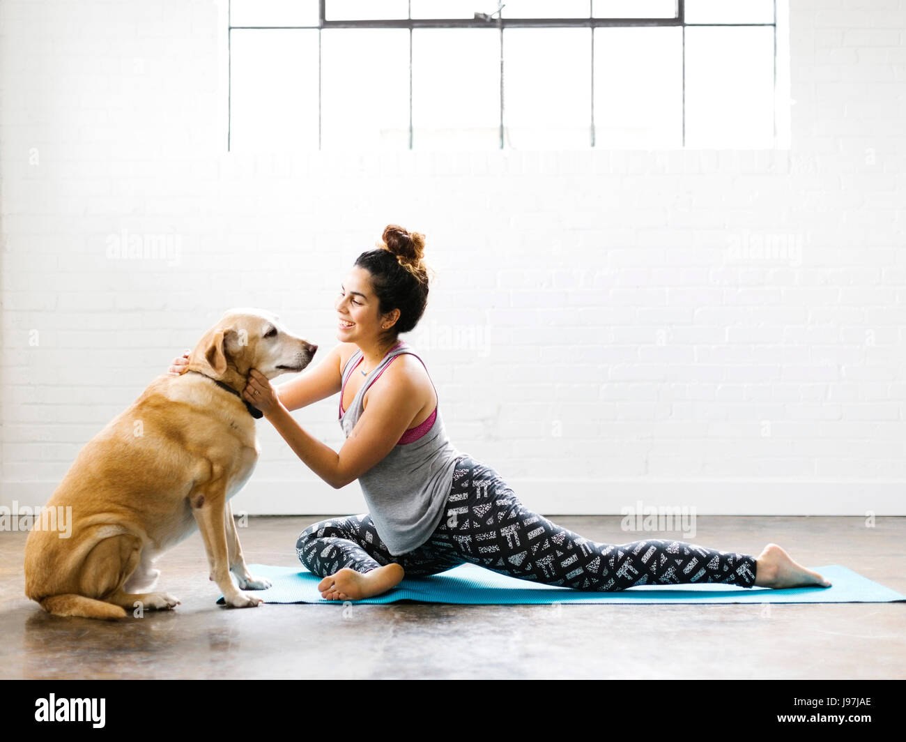 Woman with dog Banque D'Images
