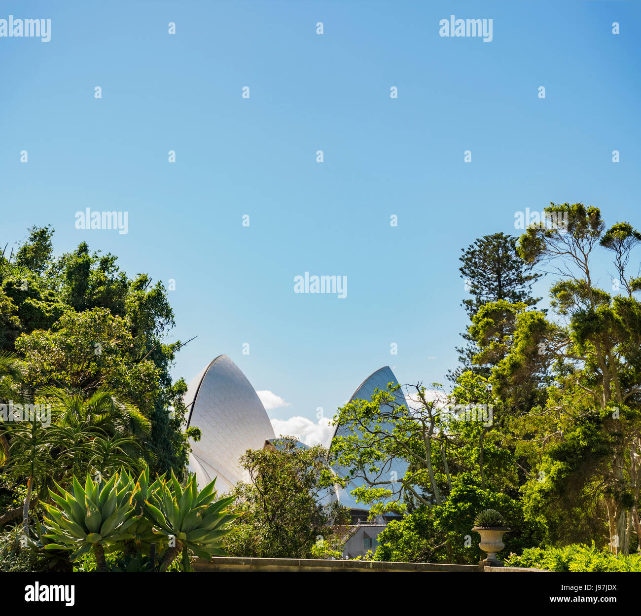 L'Australie, New South Wales, Sydney, Sydney Opera House derrière des arbres Banque D'Images