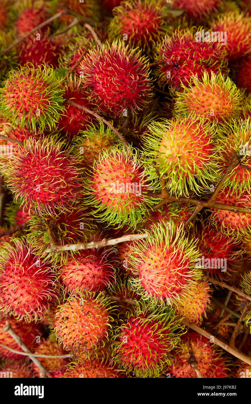 Rambutan fruit à peut de temps un marché Duoc, Province, Delta du Mékong, Vietnam Banque D'Images