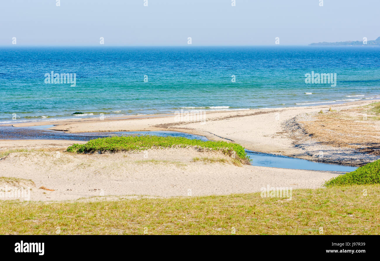 L'île verte dans le sable. La végétation a pris une emprise sur une partie de la plage près d'un petit ruisseau qui vers la mer. Journée ensoleillée calme avec certains haze o Banque D'Images