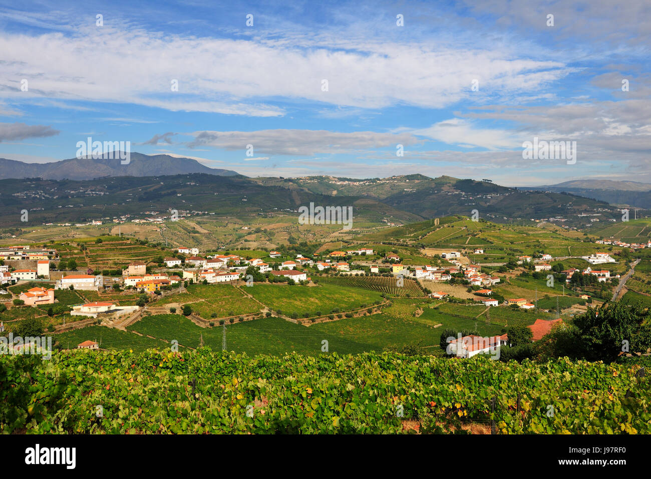 Vignobles de São João de Lobrigos, Santa Marta de Penaguião. Alto Douro, site du patrimoine mondial de l'Unesco. Portugal Banque D'Images